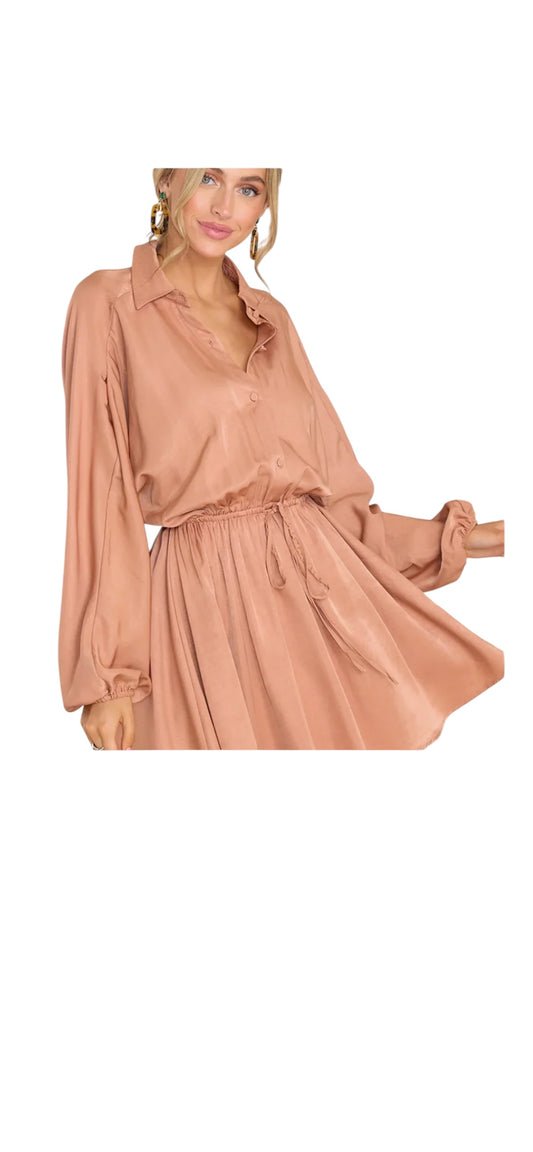 Elegant Balloon sleeve dress